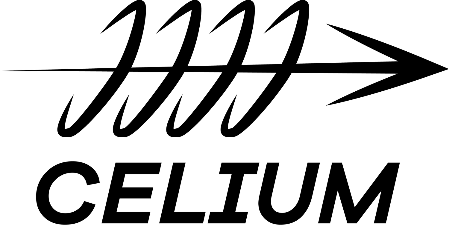 Celium Enterprises Inc
