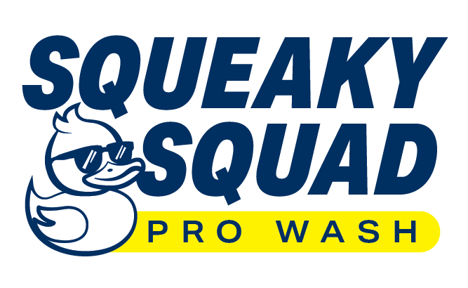 Squeaky Squad Pro Wash