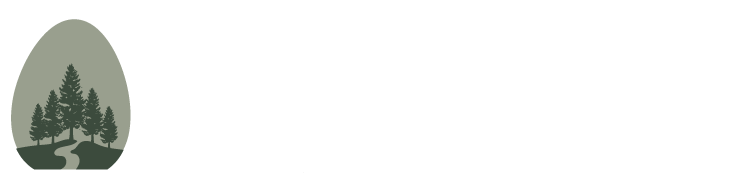 Discover Ness Creek