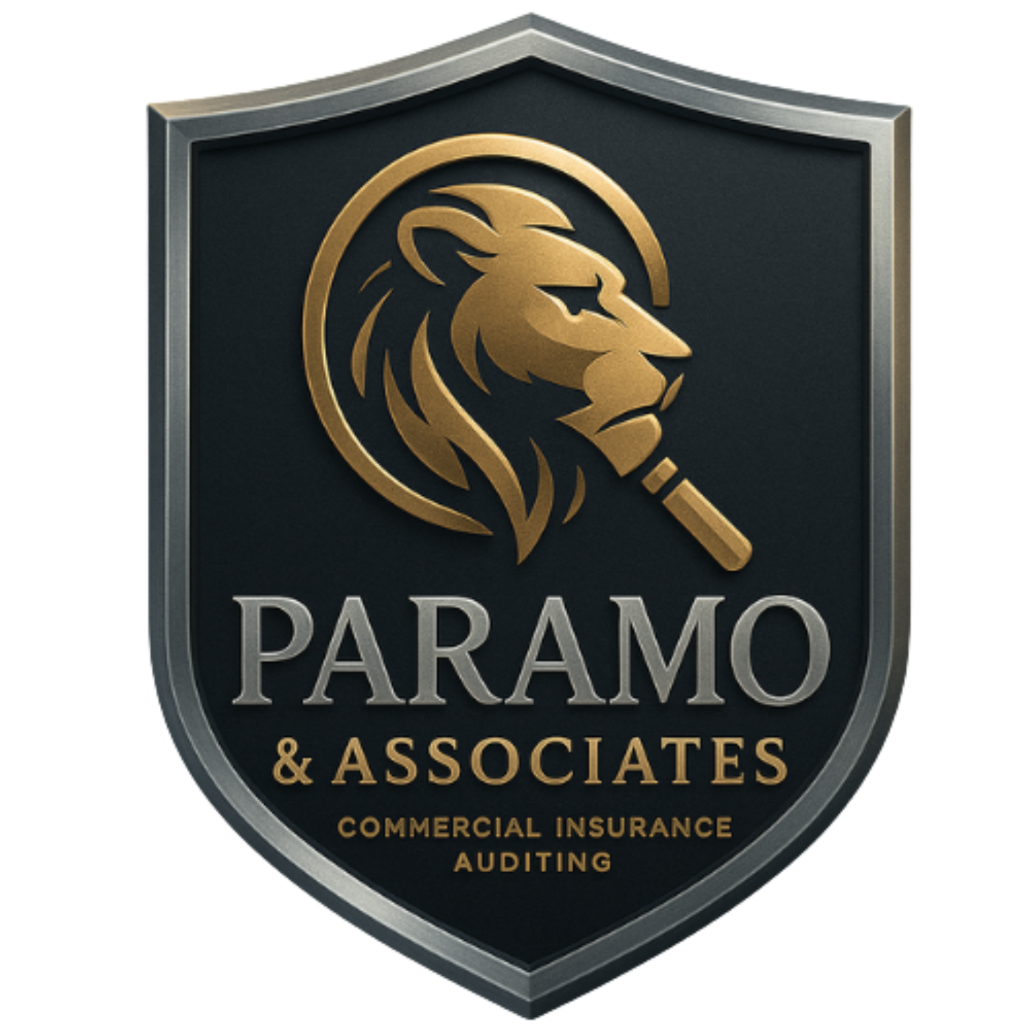 PARAMO & ASSOCIATES INC.