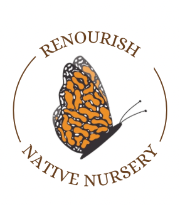 Renourish Native Nursery