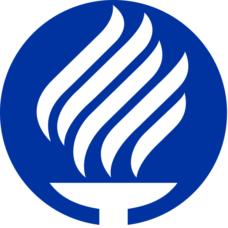 University for Organizations