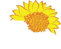 Mid Summer&#39;s Art Festival