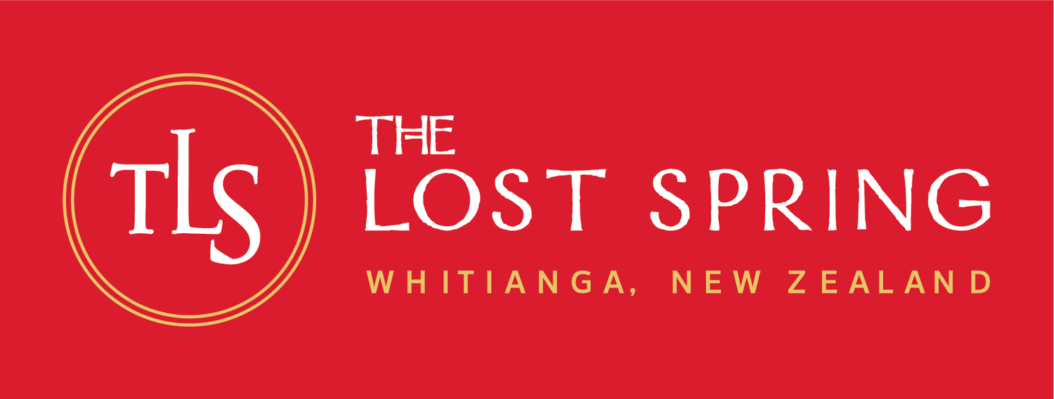 The Lost Spring