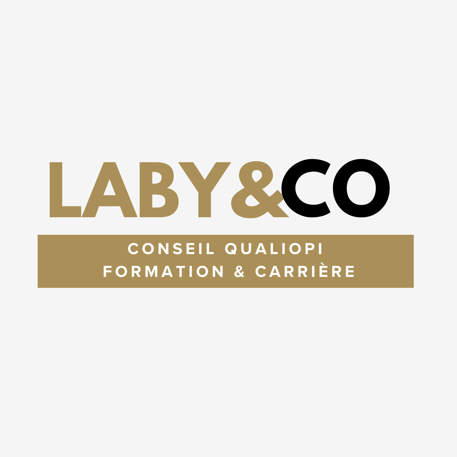 Laby & Co - Cabinet de Conseil & Stratégies Qualiopi | Formation & Carrière