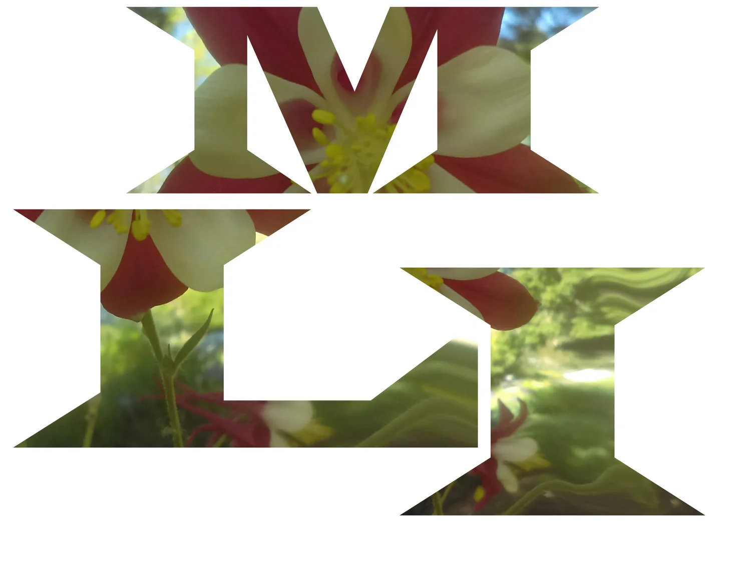 Mack's Landscapes & Irrigation LLC