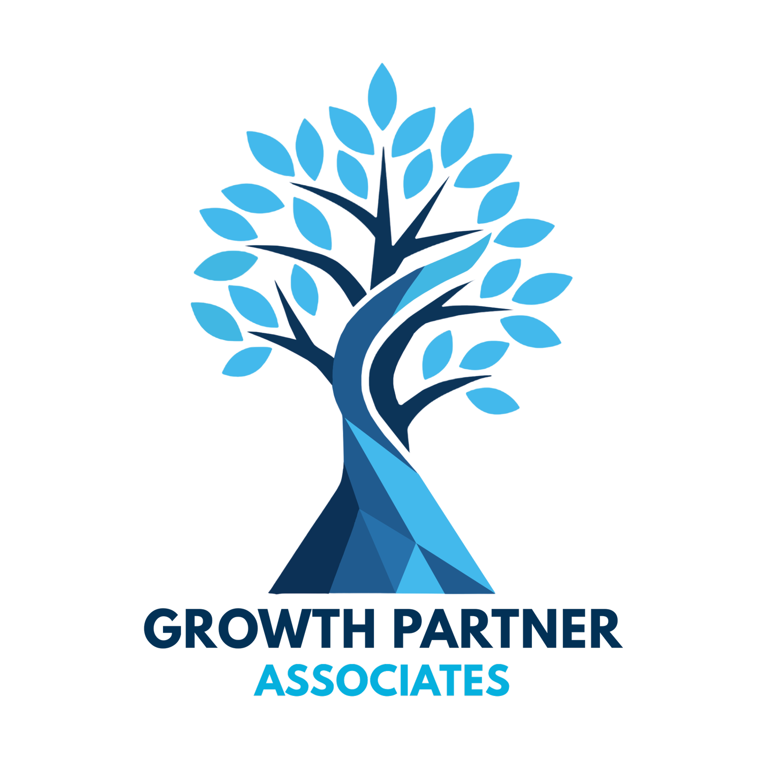 GROWTH PARTNER ASSOCIATES