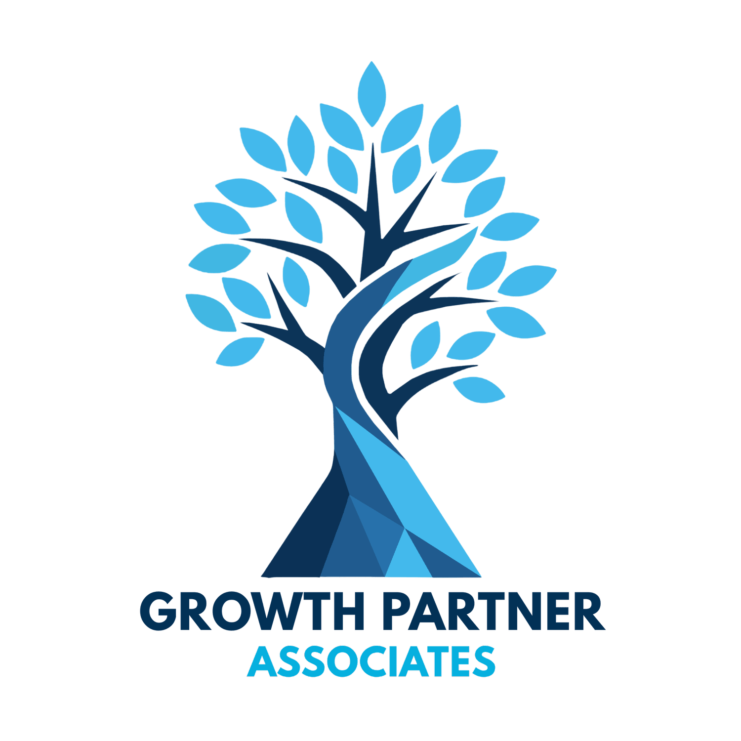 GROWTH PARTNER ASSOCIATES