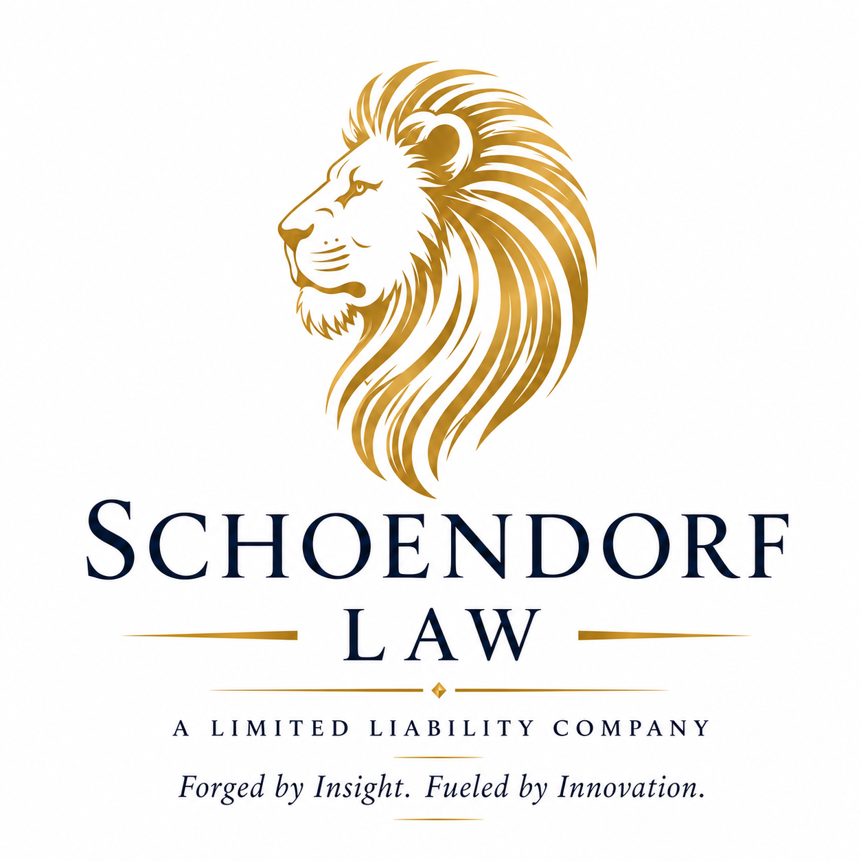 Schoendorf Law, LLC