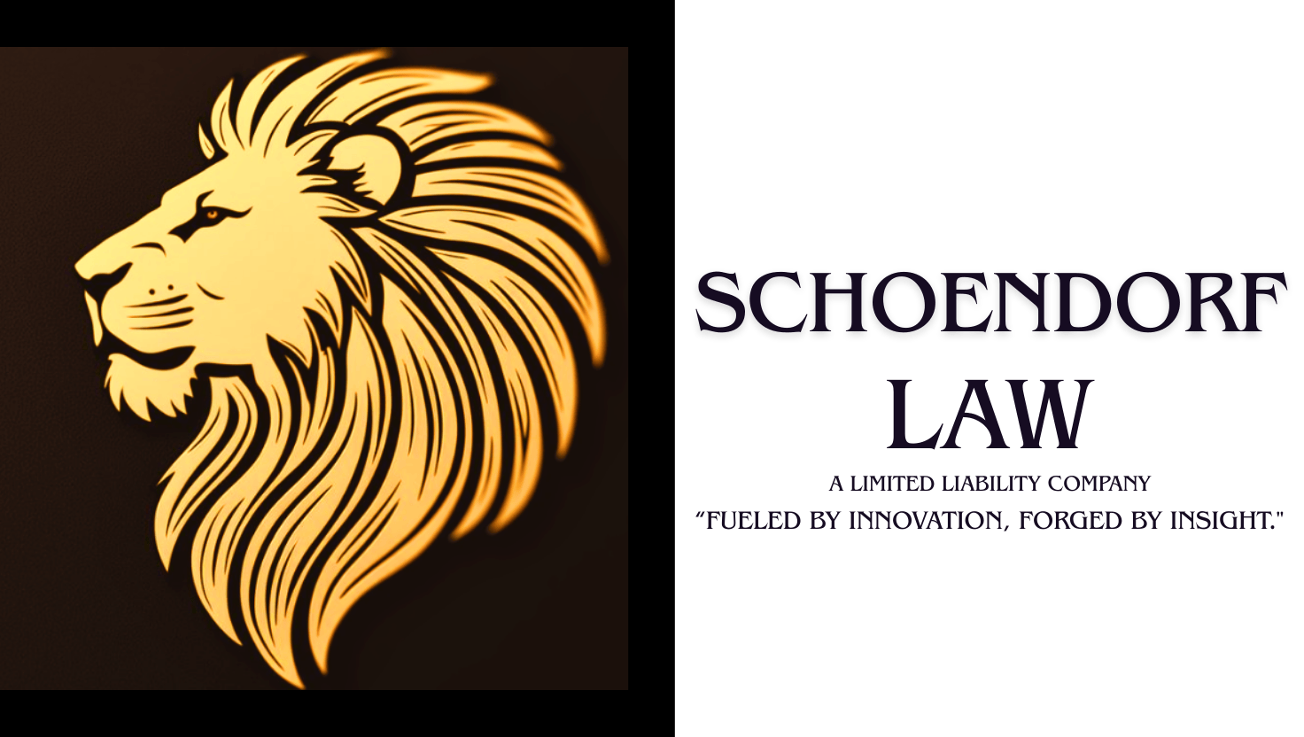 Schoendorf Law, LLC