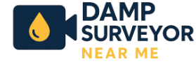 DAMP SURVEYOR NEAR ME