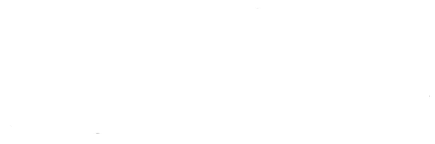 loulou boutiques