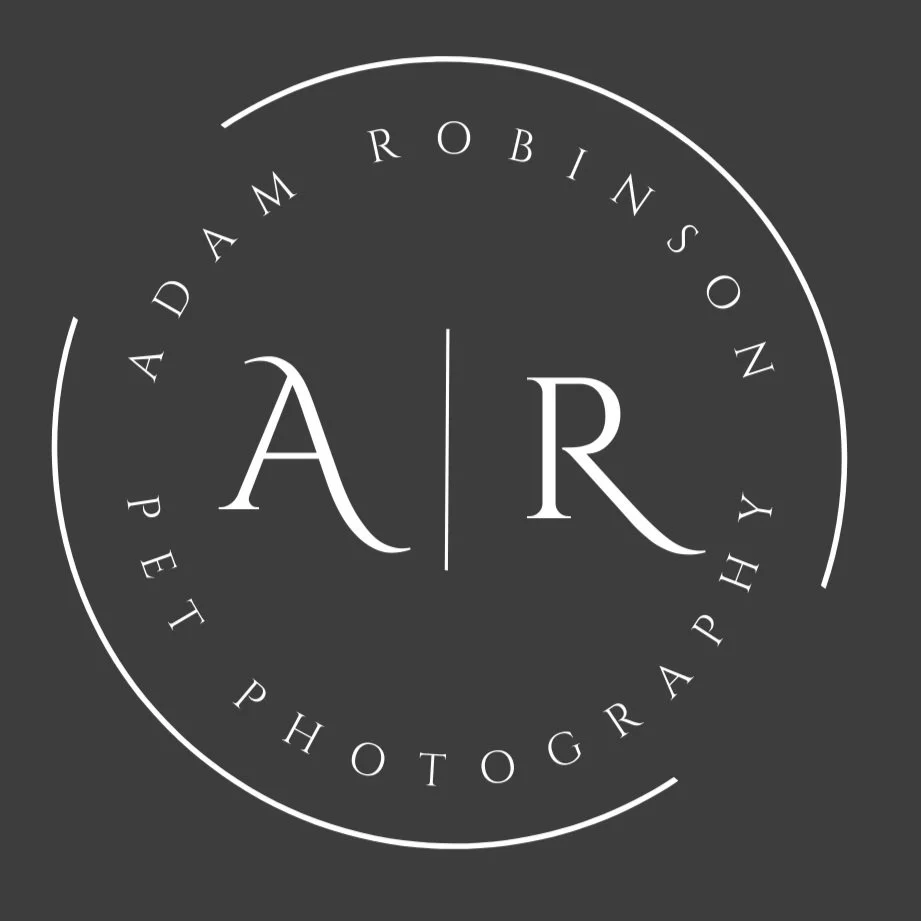Adam Robinson Pet Photography