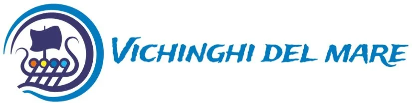 Vichinghidelmare