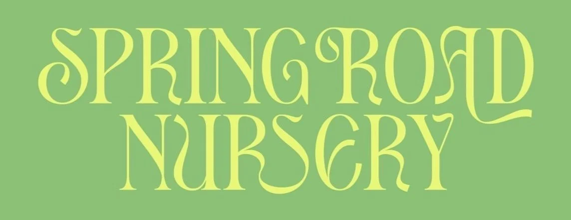Spring Road Nursery