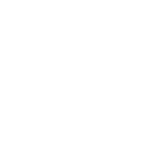 FOCUS LANE