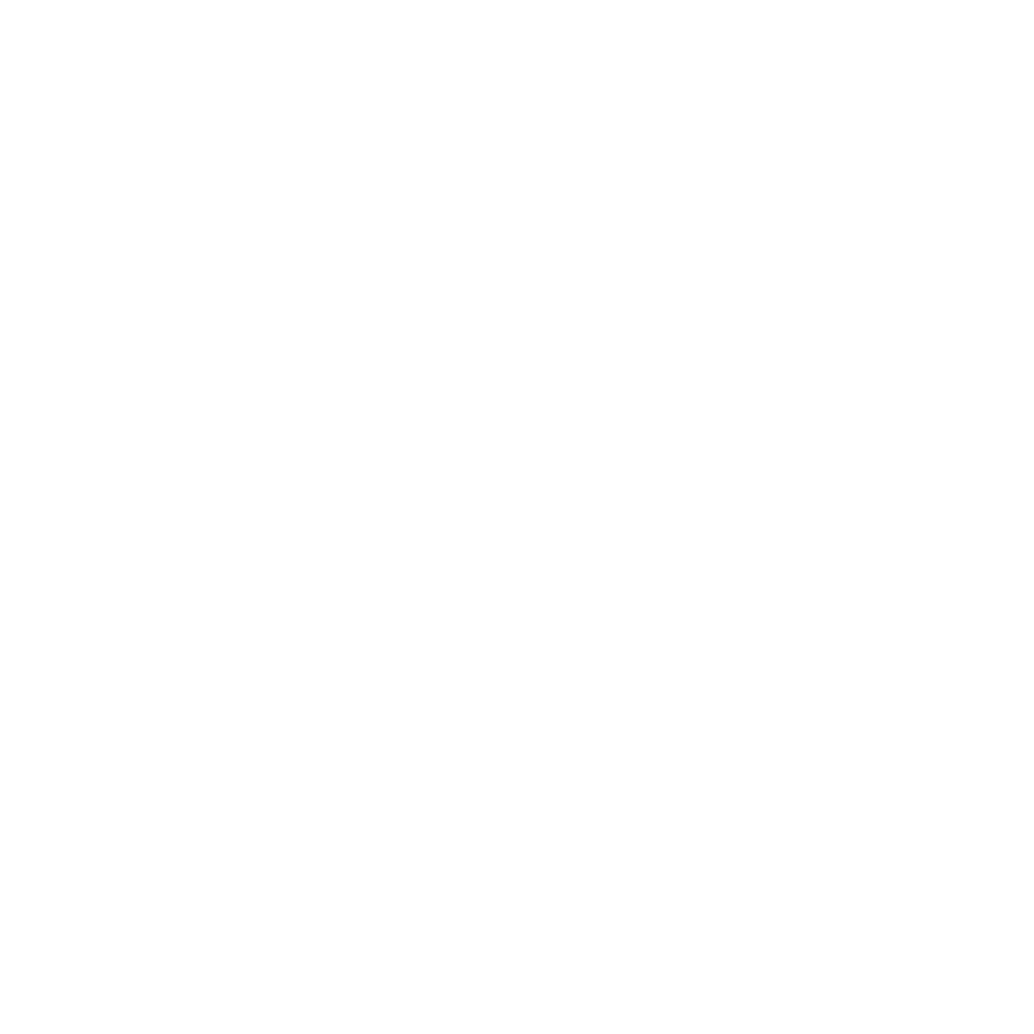 EVM Consulting | Strategy, Branding &amp; Growth for Businesses &amp; Conservative Leaders
