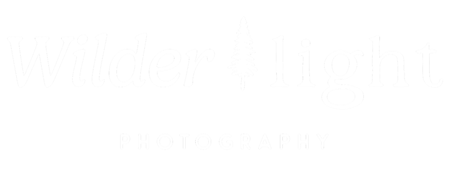 Wilderlight Photography