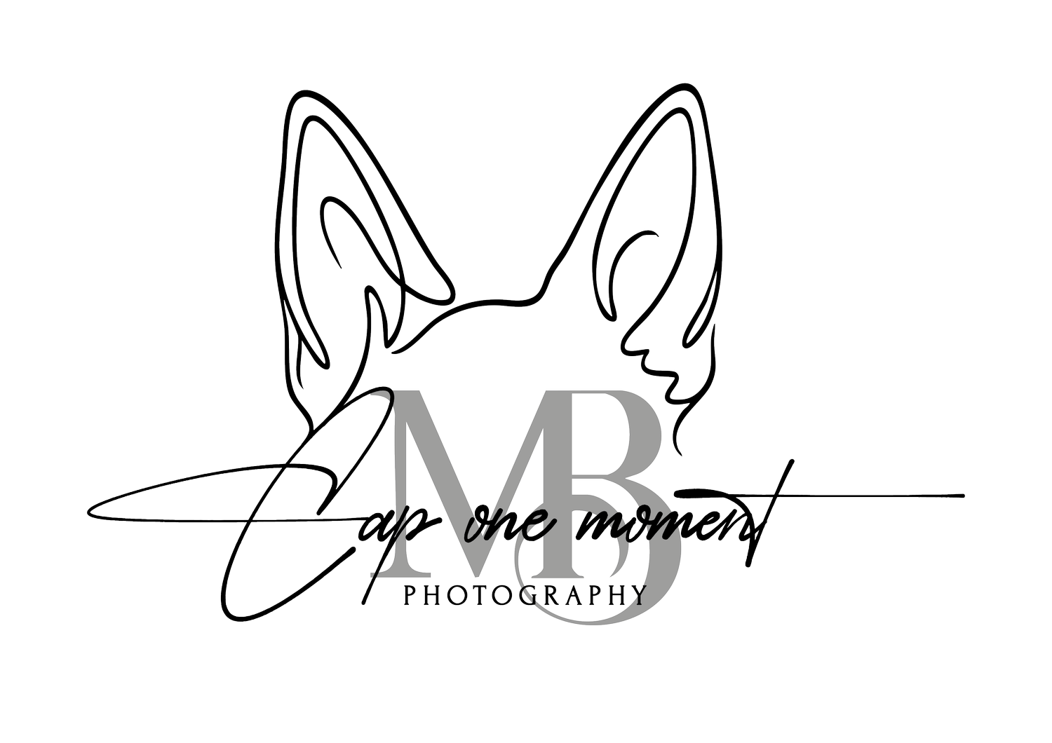 Cap one moment Photography - Tierfotografie im Harz