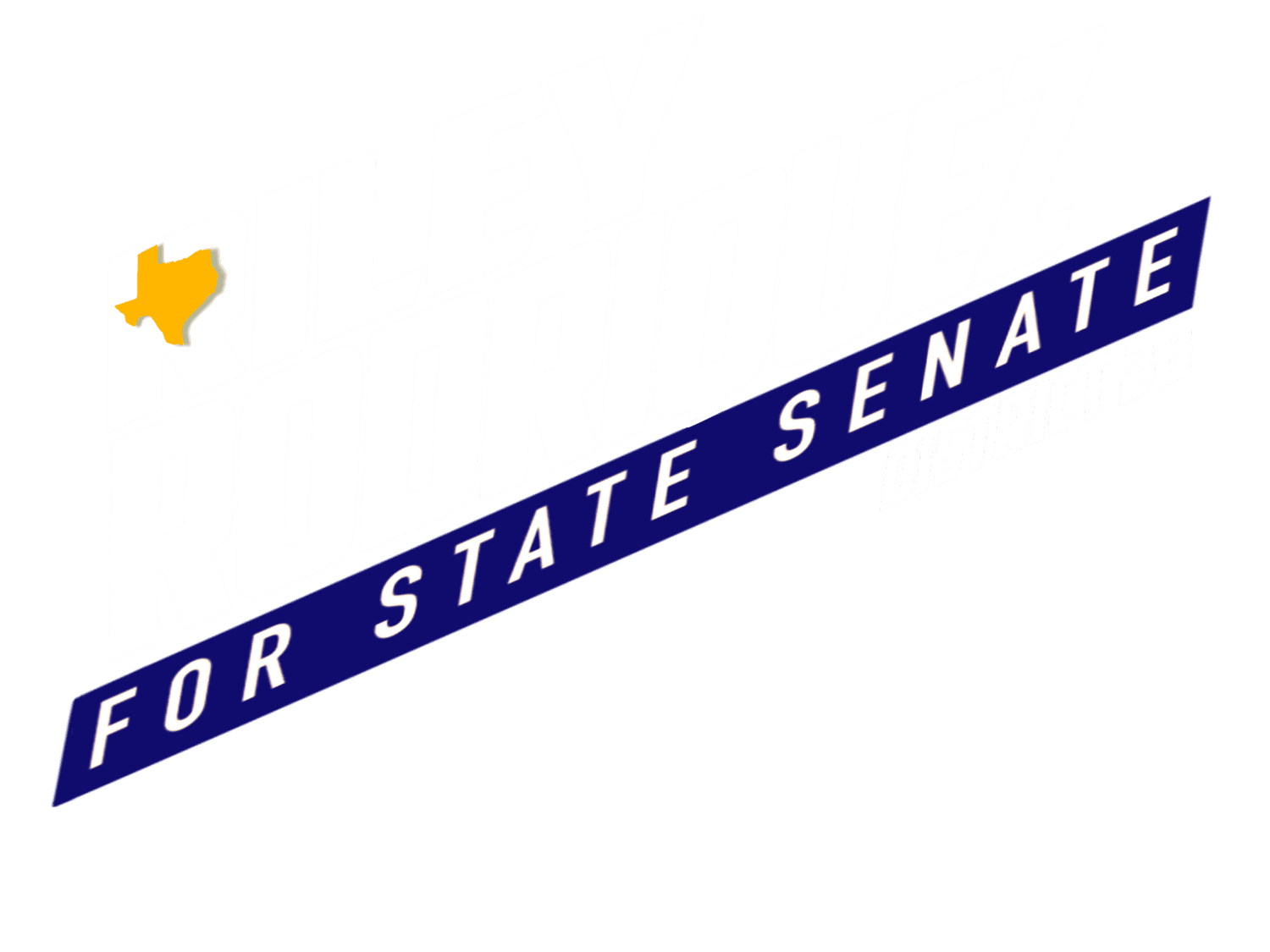 rileyforsenate.org
