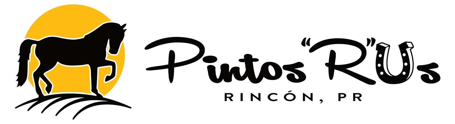 Pintos &quot;R&quot; Us