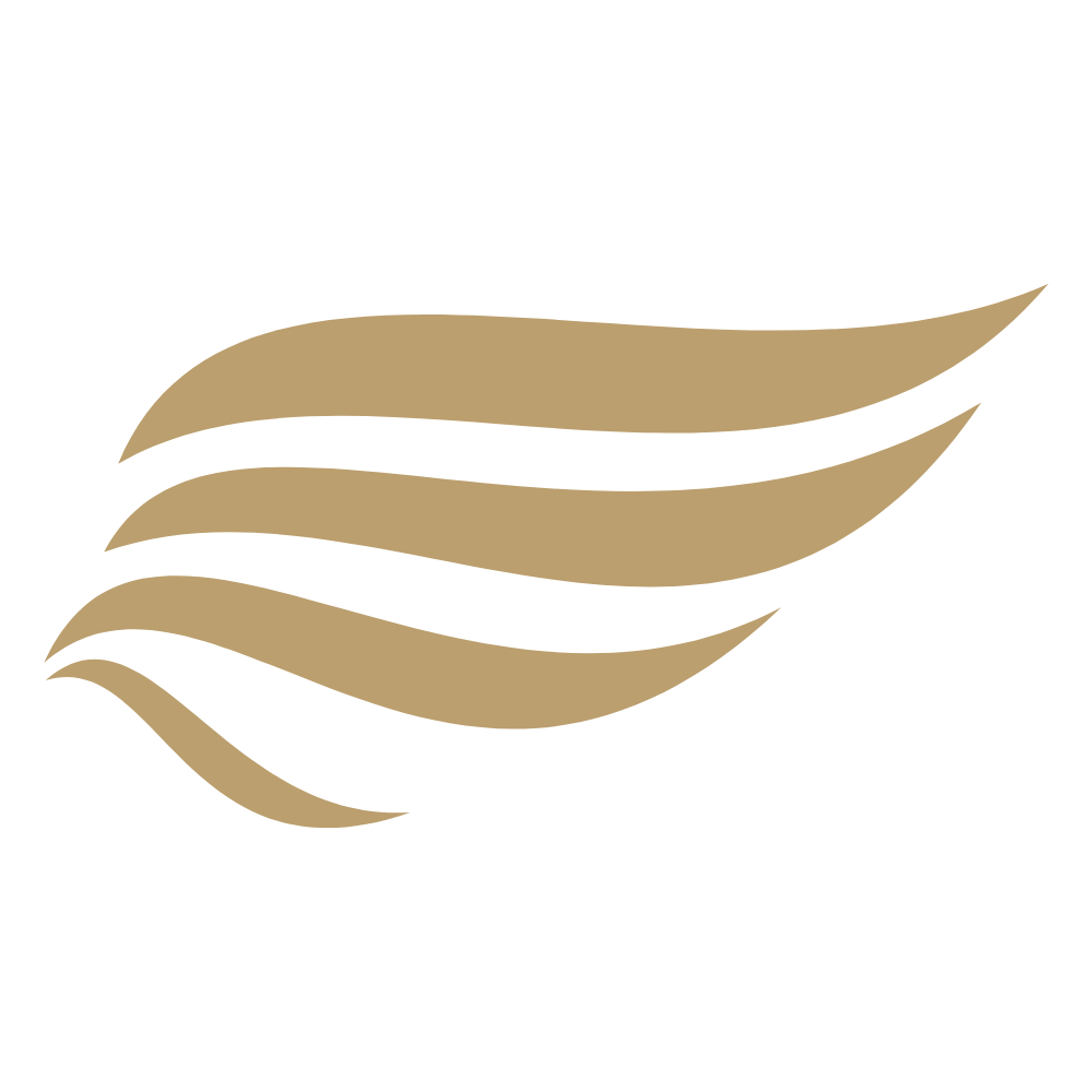 Levare Aviation