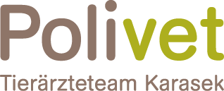 Dein Website-Titel