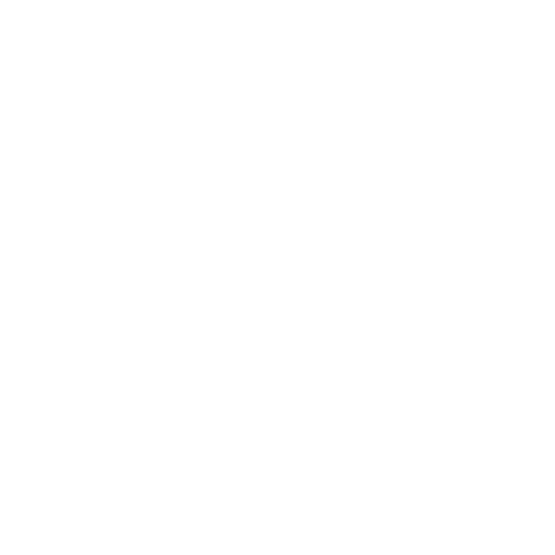 LIONGATE SOLAR & SECURITY