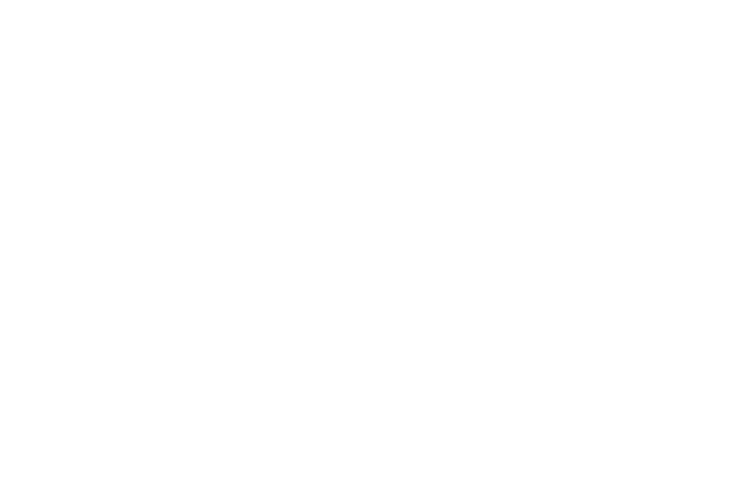 Black AIDs Institute