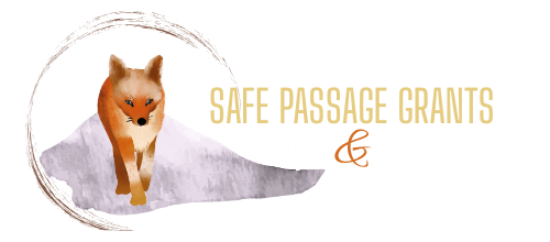 Safe Passage Grants