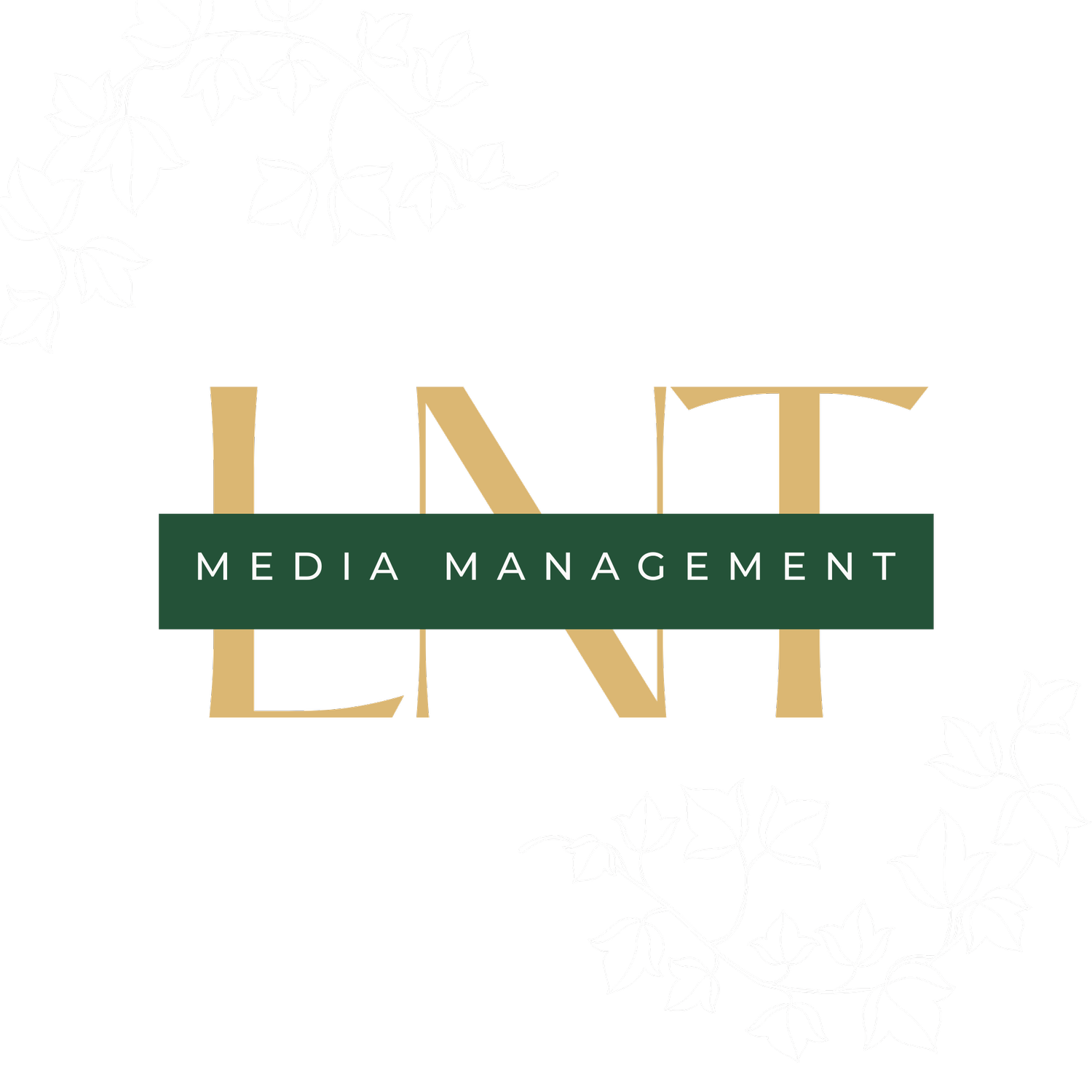 LNT Media Management 