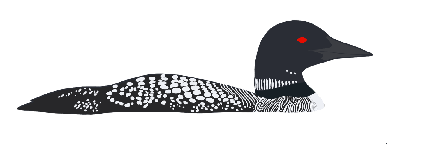 Therapy with Alicia | Intuitive Therapy in Portland, Oregon