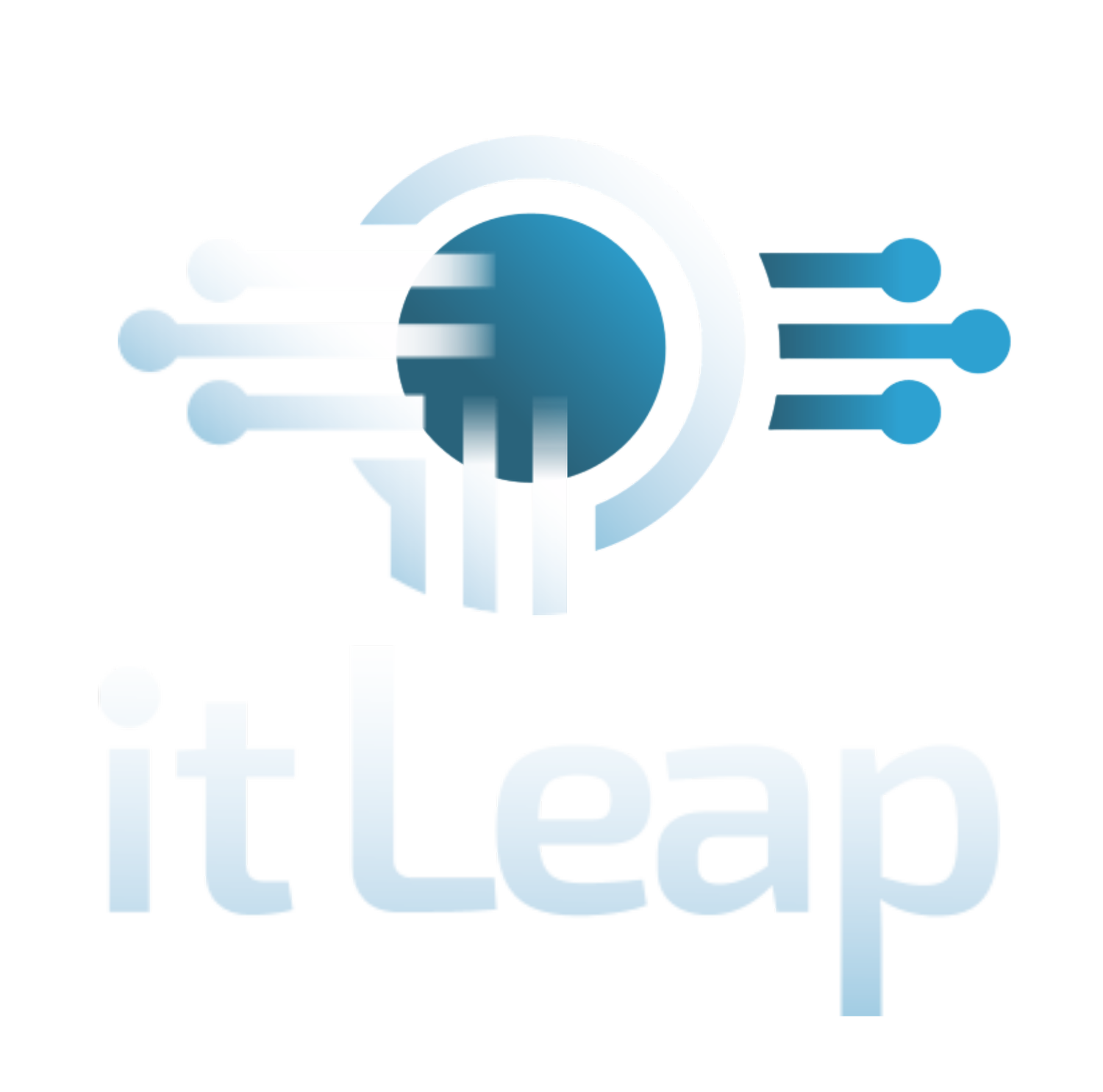 itLeap