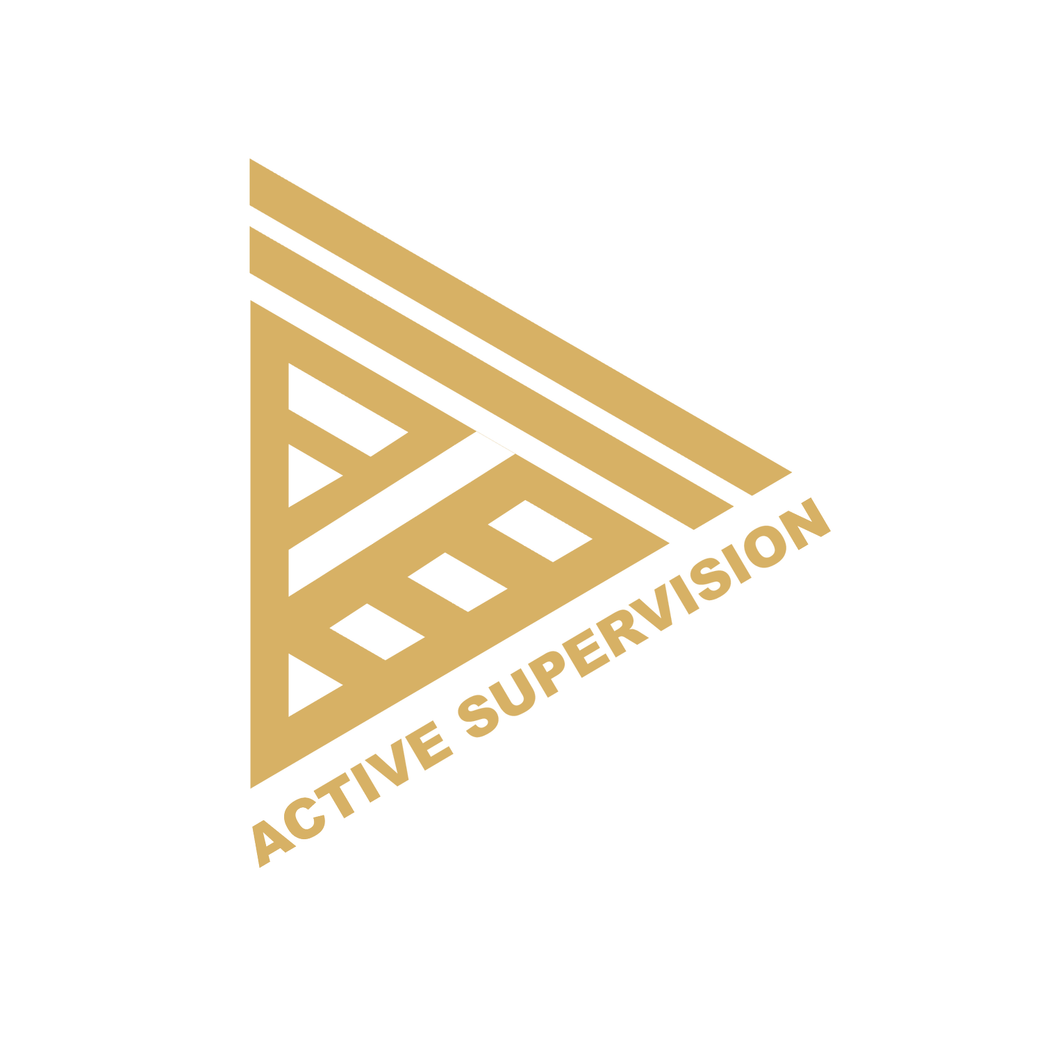 Active Supervision