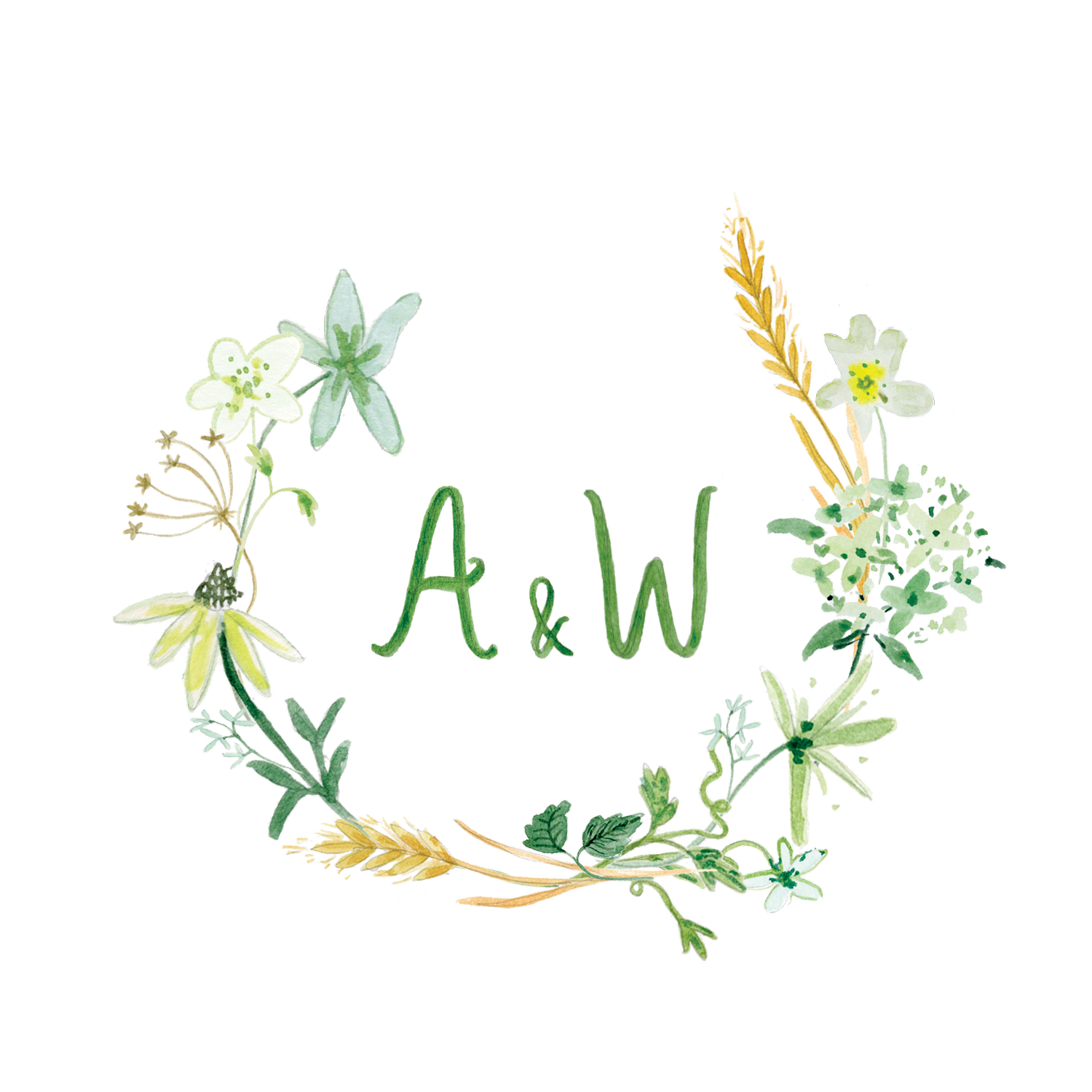 A & W