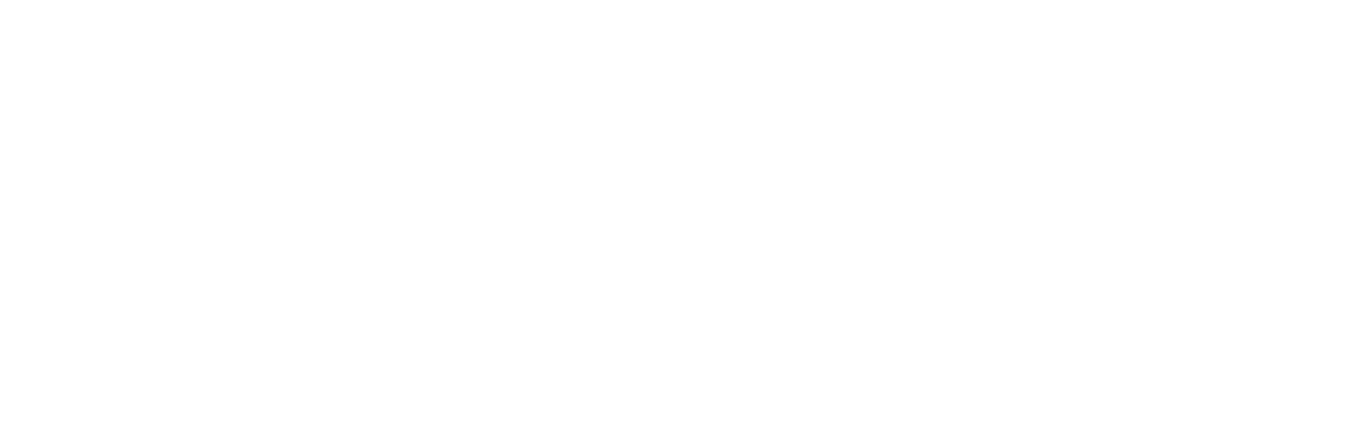 /swizzt | Strategisch Partner voor Leiderschap & Transformatie