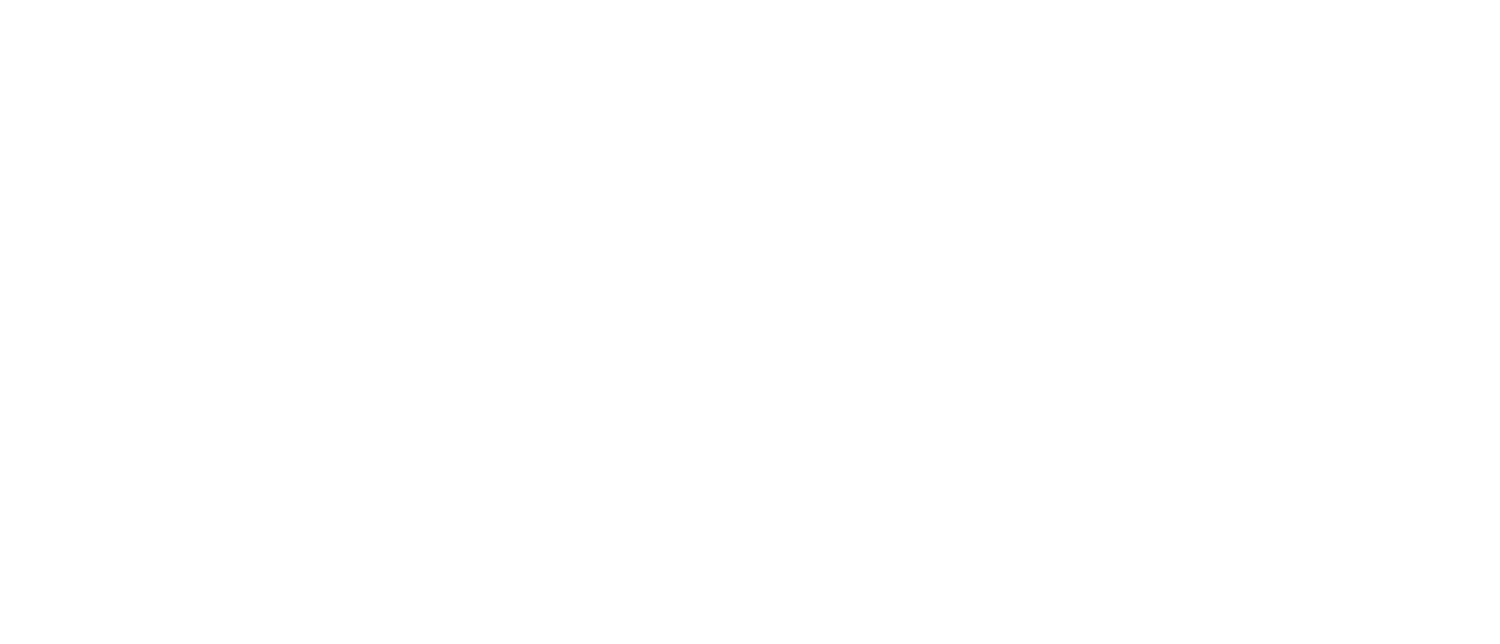 /swizzt | Strategisch Partner voor Leiderschap & Transformatie