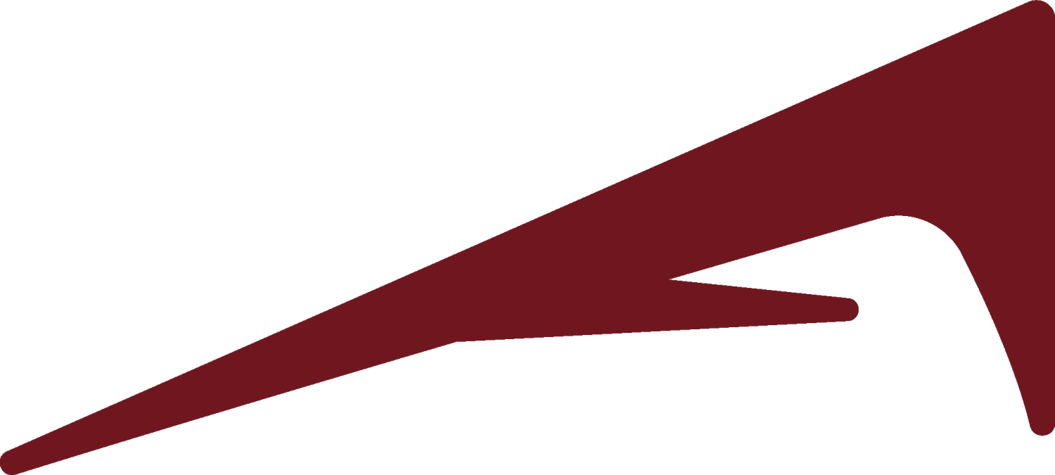 Advance Physiotherapy CBR