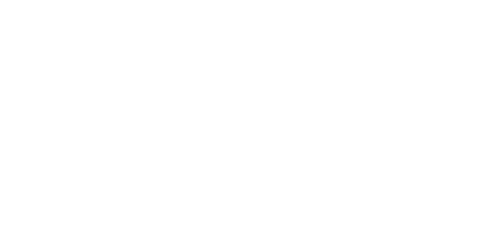When Dragonflies Appear Foundation