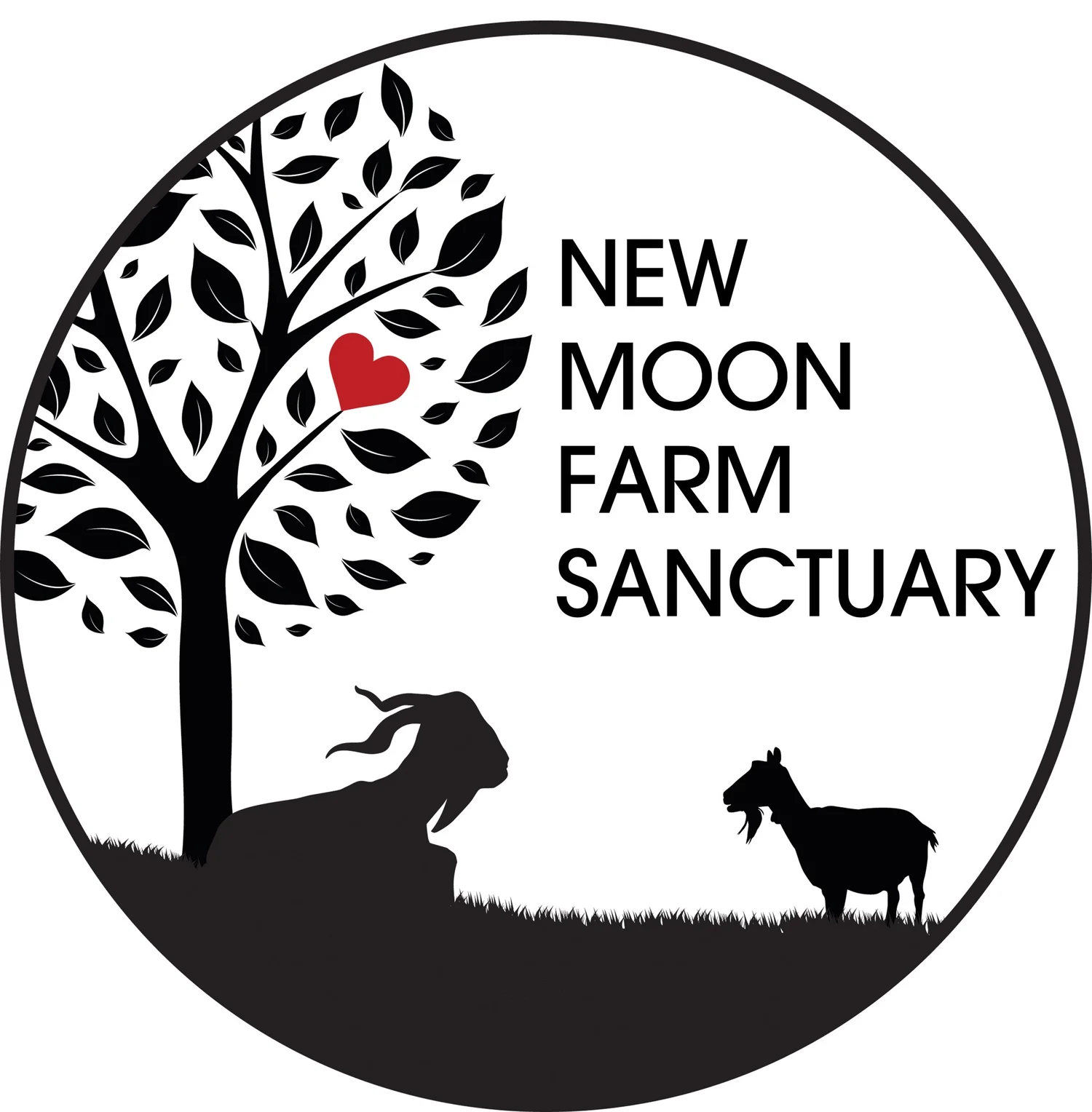 New Moon Farm Sanctuary