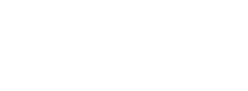 DigiNysa