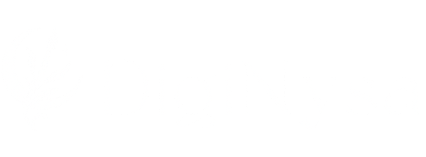DigiNysa