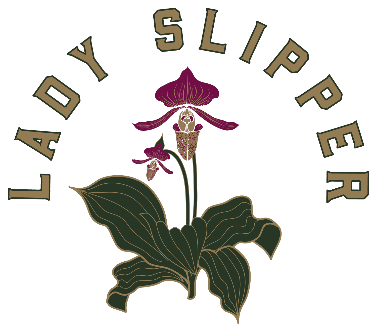 Lady Slipper