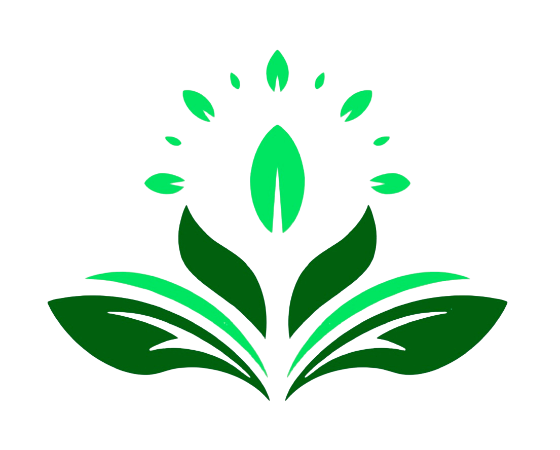 Holistic Health Innovations