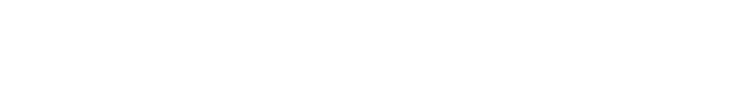THE CURATION SOCIETY