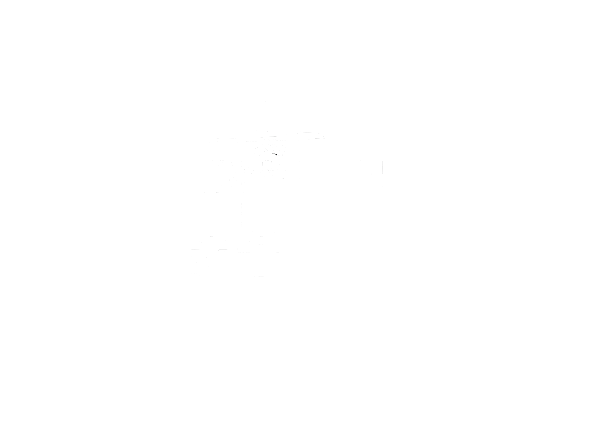 INSIDE OUT STATE