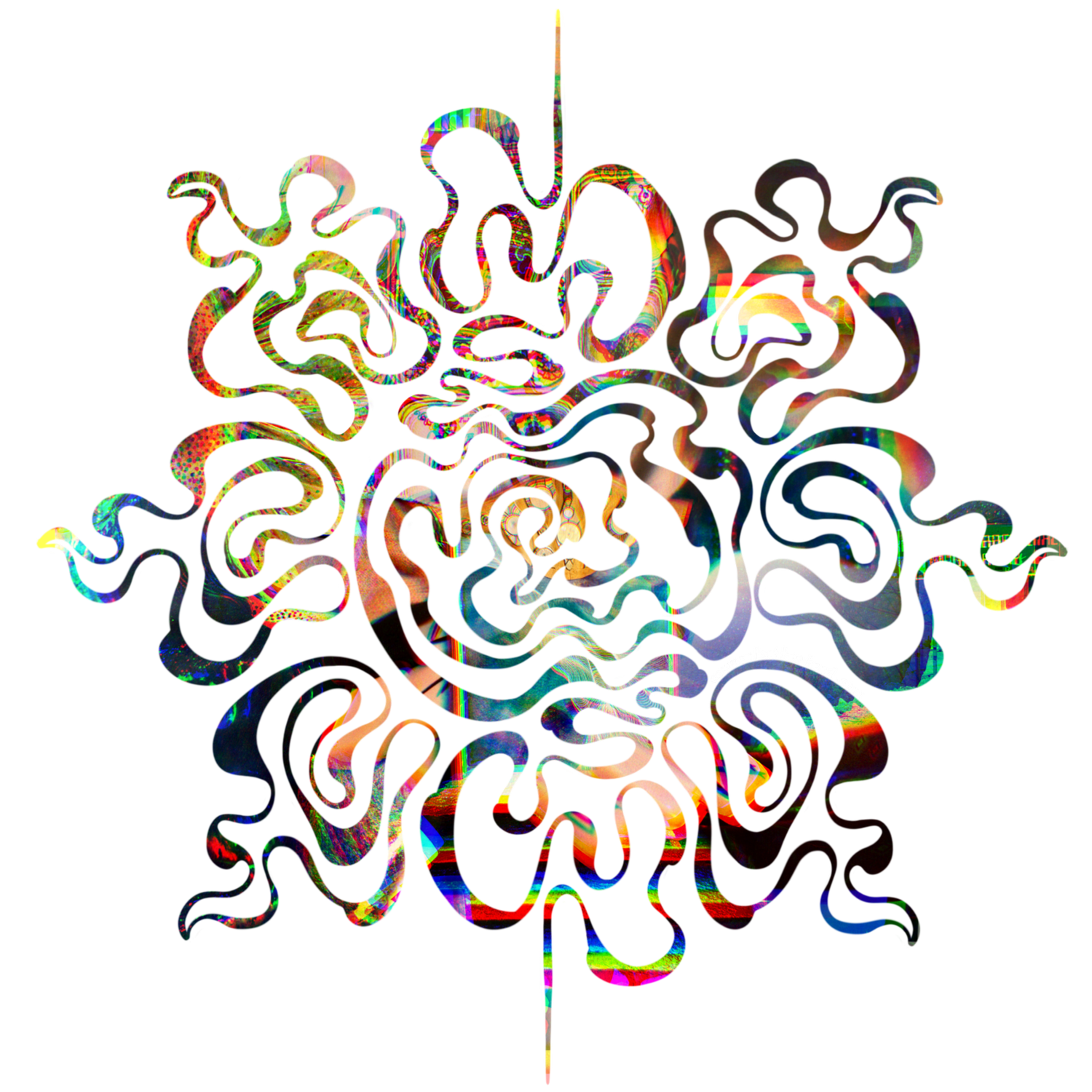 Cosmos Lost Her Head