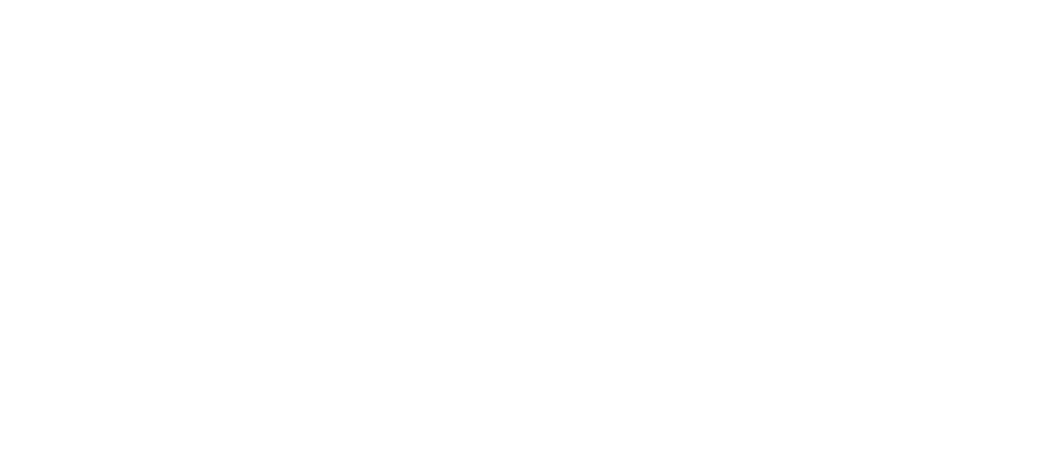 ML International
