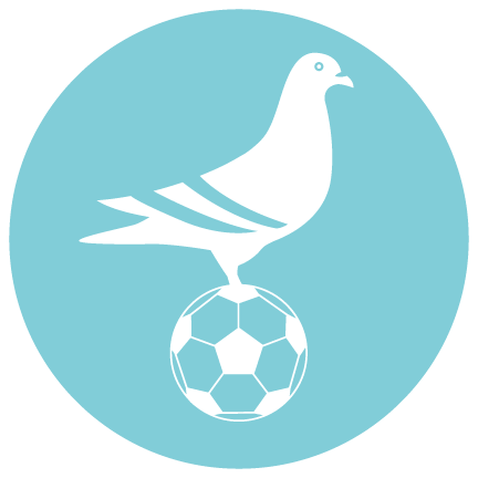 Tampa Bay Footy | Coed Recreational Soccer with a Professional Touch