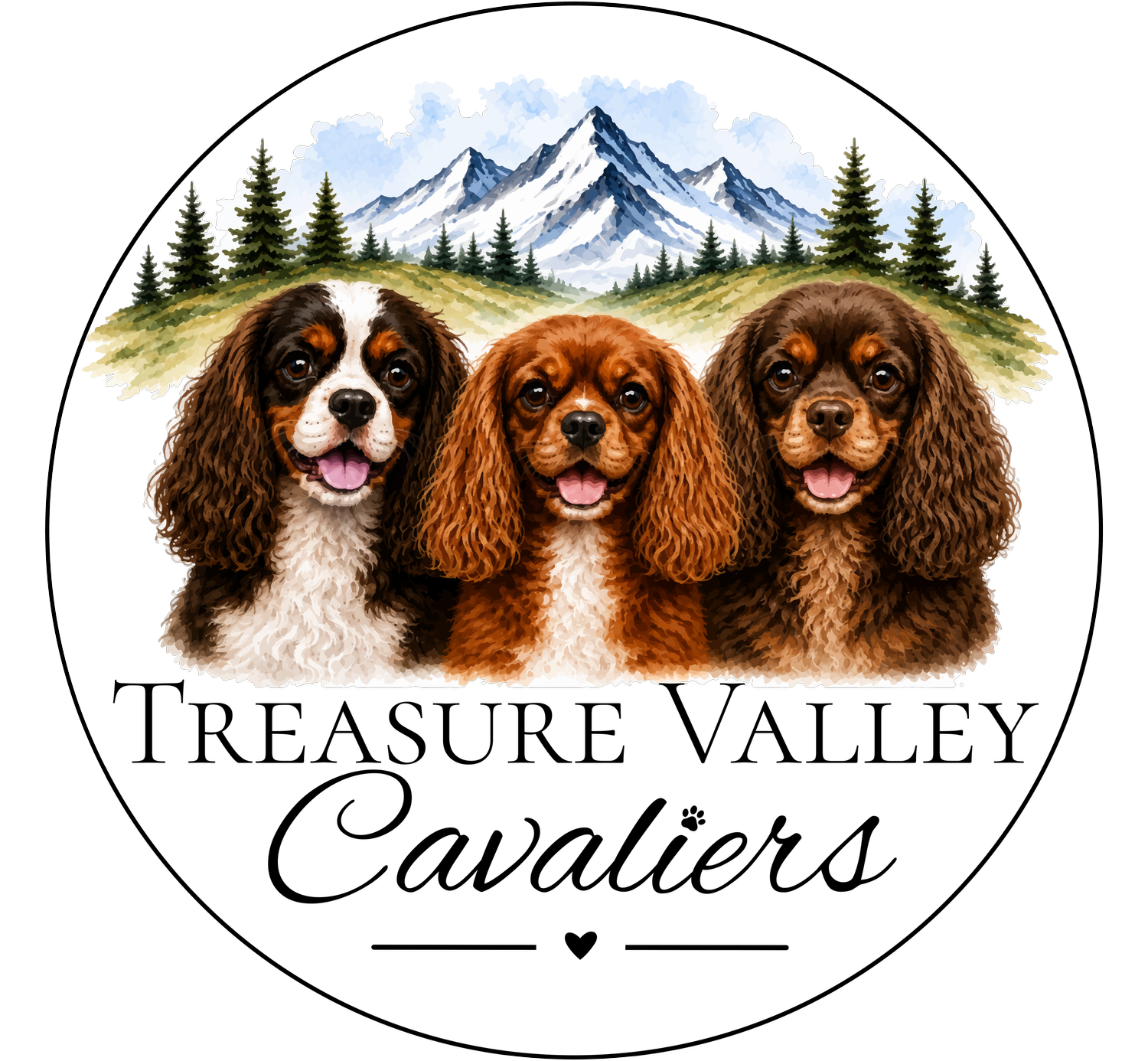 Treasure Valley Cavaliers